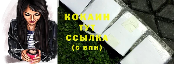 дживик Кулебаки