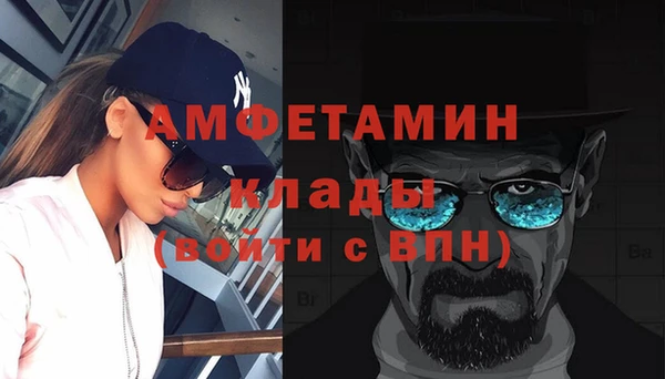 шишки Ладушкин