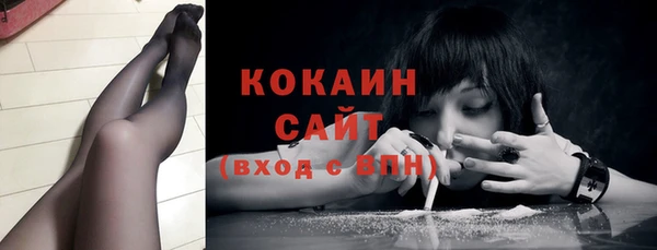 дживик Кулебаки