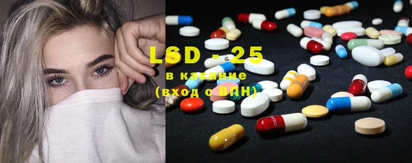 шишки Ладушкин