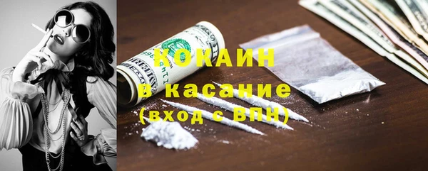 шишки Ладушкин